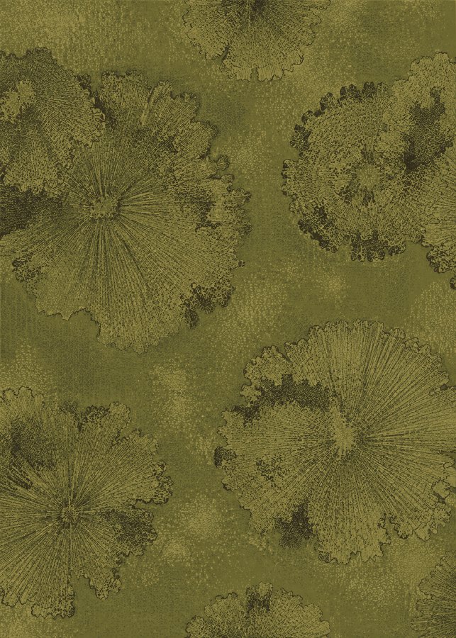 Lichen