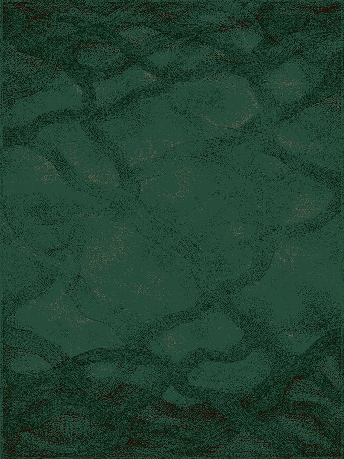 Emerald & Coral