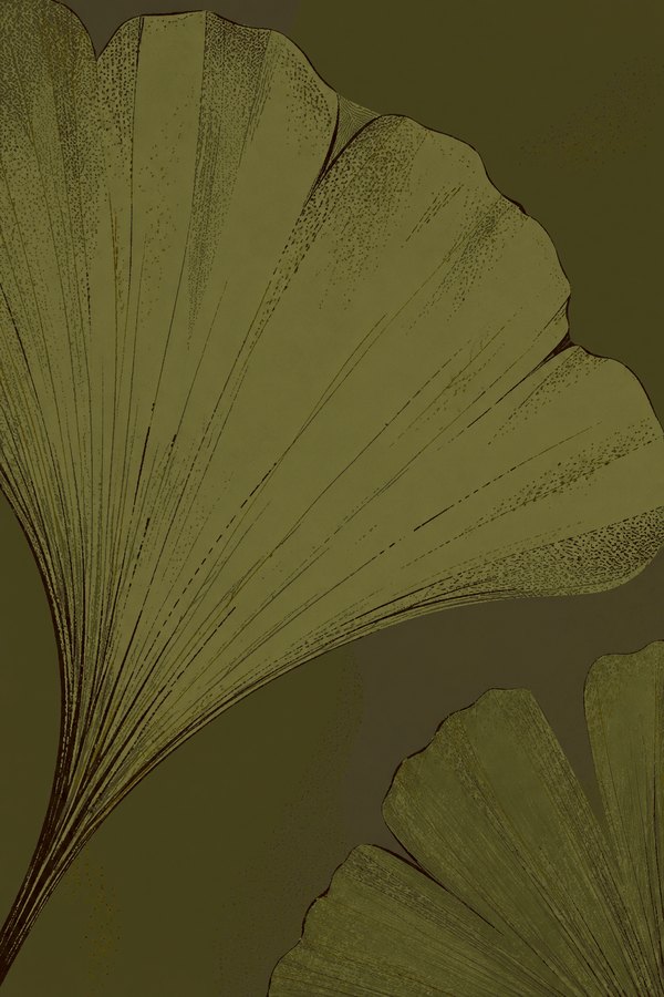Ginkgo