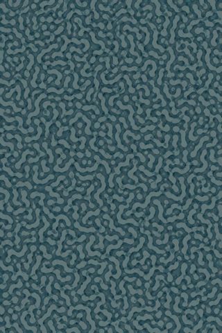 Petrol