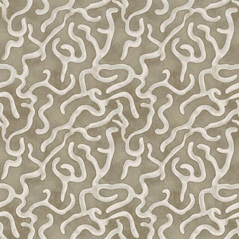 Limewash